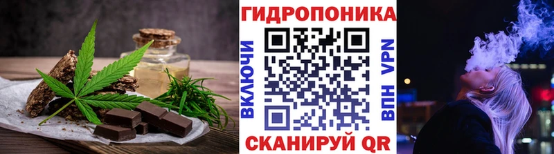 Купить закладки Соль-Илецк Cannafood марихуана