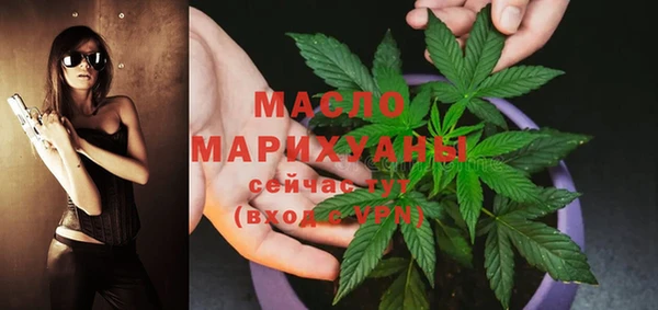 дживик Верхний Тагил