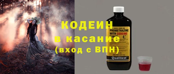 дживик Верхний Тагил