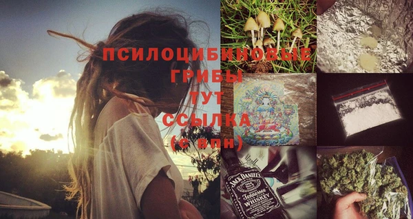 дживик Верхний Тагил