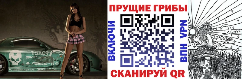 Купить  Соль-Илецк  Псилоцибиновые грибы ЛСД 